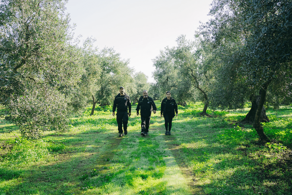 La famille Stallone, producteurs d’huile d’olive des Pouilles, sur leur domaine à Giovinazzo